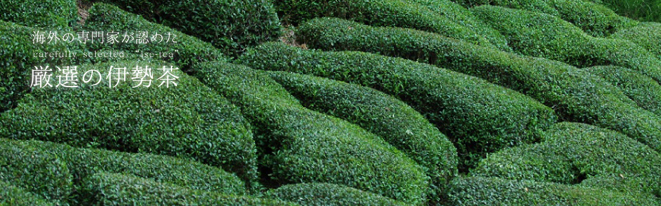 海外の専門家が認めた厳選の伊勢茶